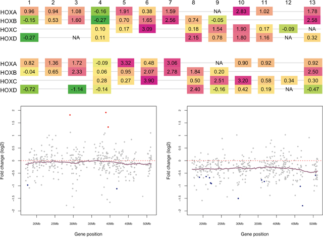 Distinct expression patterns of HOX genes and Chromosome 22 genes in pediatric and adult SEPN.