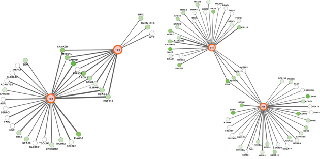 Networks of miRNA-mRNA target interactions in pediatric SEPN.