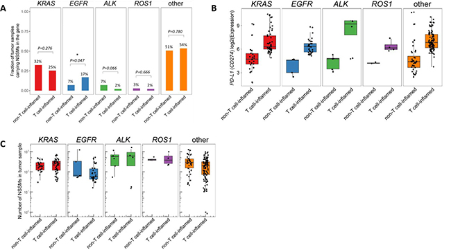 Analysis of lung adenocarcinoma samples based on molecular driver mutation (ALK, EGFR, KRAS, ROS1, or wild-type (none)).