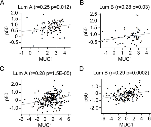 Positive correlation between MUC1 and p50 in different subtype breast cancers.
