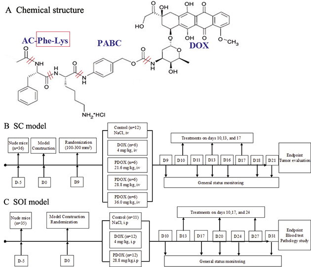 Structure and flow chart.