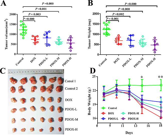 Effects of PDOX treatment on SC model of gastric cancer.