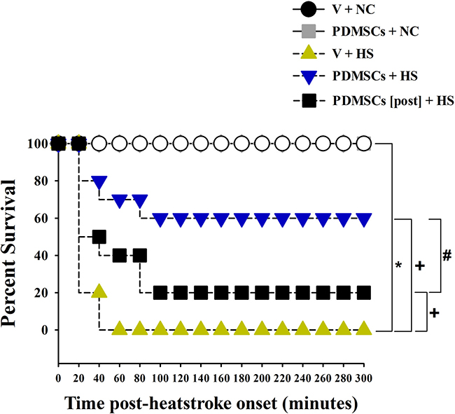 Kaplan-Meier analysis followed by log-rank tests were performed to determine percent survival in each group (n = 10).