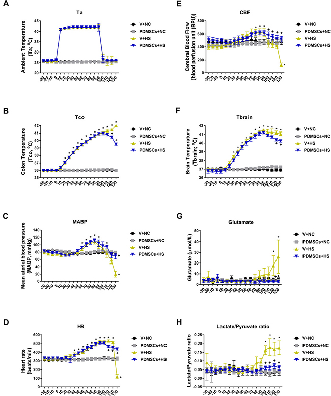 Functional recovery after PDMSCs treatment in a rat model of acute heat stroke.