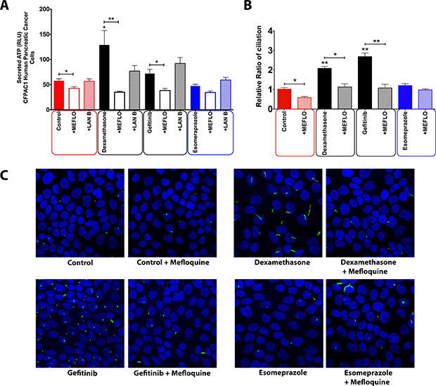Effect of inhibition of different intracellular trafficking pathways on the concentration of extracellular ATP in CFPAC-1 cells treated with ciliogenic drugs.