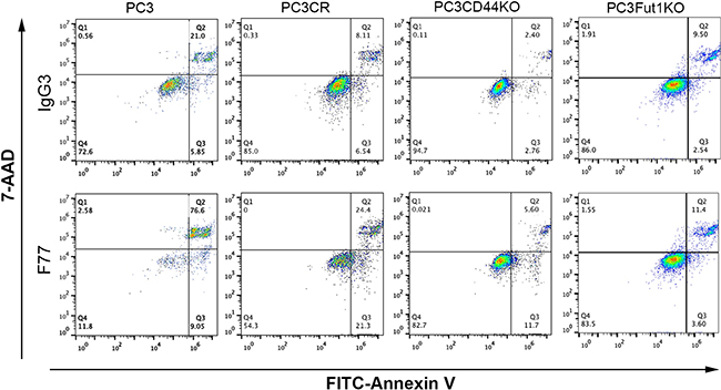 FACS analysis of apoptosis in CRISPR cell lines derived from PC3.