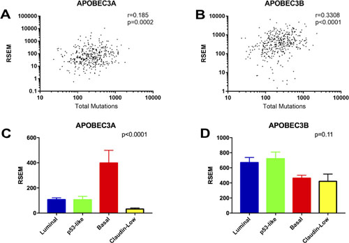 Correlations of APOBEC3A and APOBEC3B expression with mutational burden and molecular subtype.