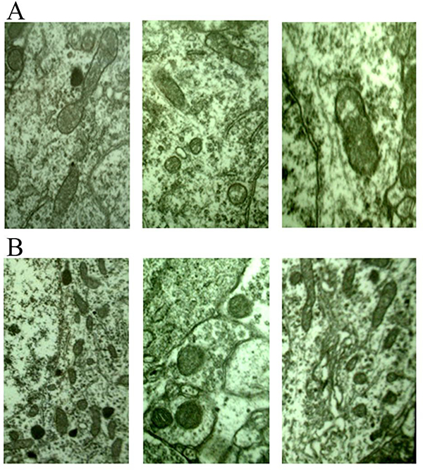 Figure 4: