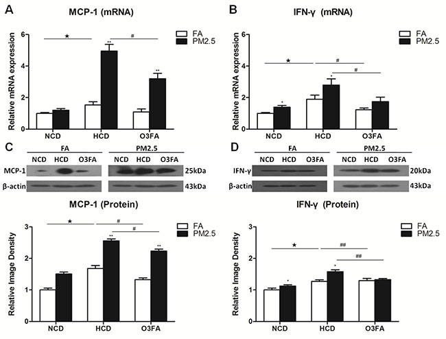 Effects of PM2.5 exposure on the expression of MCP-1 and IFN-&#x03B3; in brain microvessels.