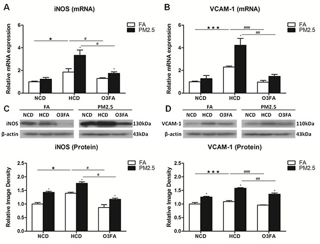 Effects of PM2.5 exposure on the expression of VCAM-1 and iNOS in brain microvessels.