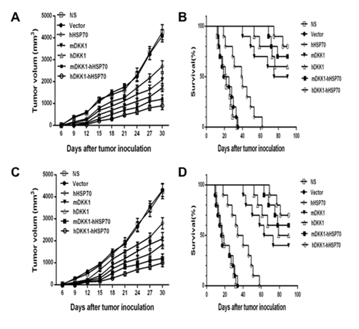 Tumor volumes and survival fractions of tumor-bearing mice.