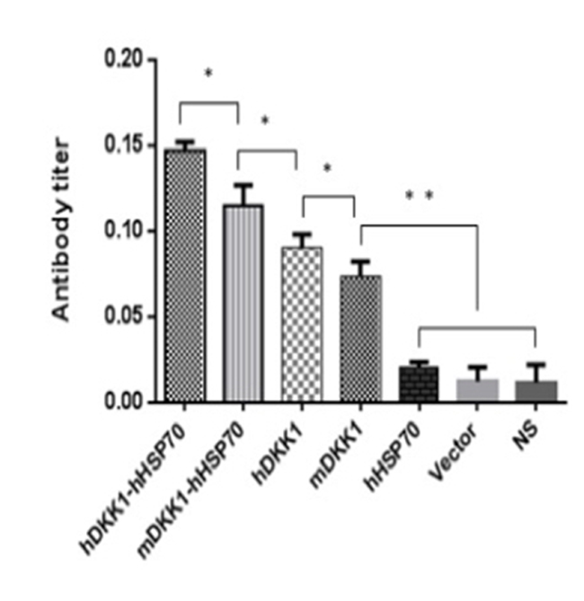 Detection of DKK1 antibody in murine serum.