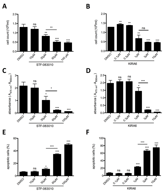 IRE1&#x3b1; endonuclease and kinase inhibition restrains proliferation and survival of HMC-1.2.
