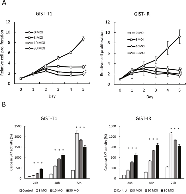 Growth inhibition and apoptosis induction by reovirus in GIST-T1 and GIST-IR cells in vitro.