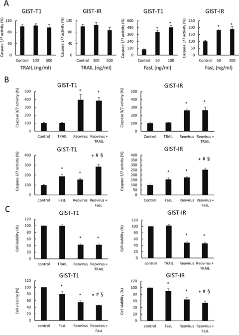 Combination treatment of FasL and reovirus significantly induced apoptosis in GIST-T1 and GIST-IR cells.