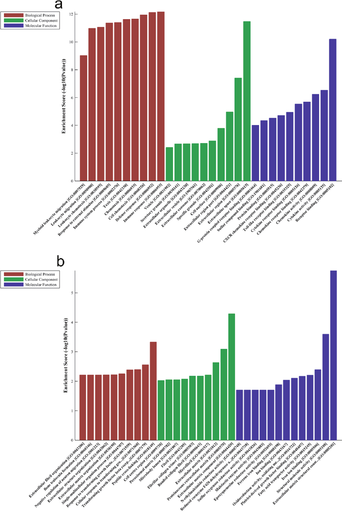 Biological functions of up-expressed and down-expressed mRNAs.