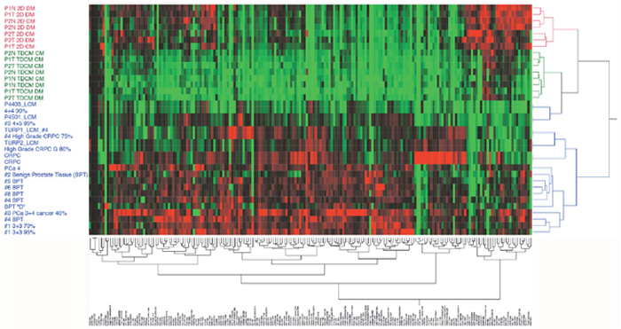 Unsupervised hierarchical clustering.