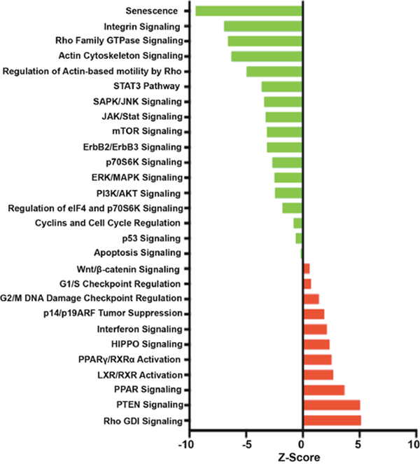 Signaling and regulatory pathway transcriptional regulation.