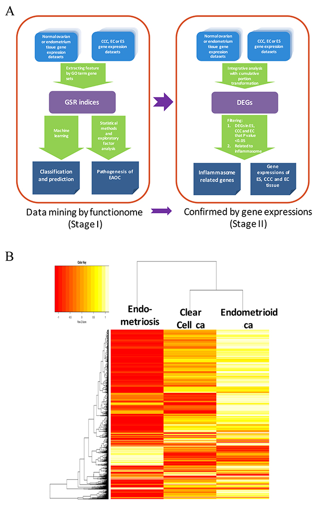 Work flow of the two-stage strategy to discover gene signatures for EAOC.