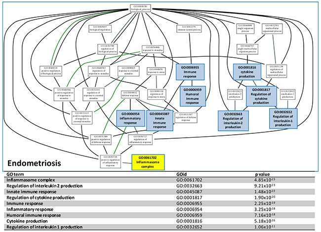 GO tree analysis.