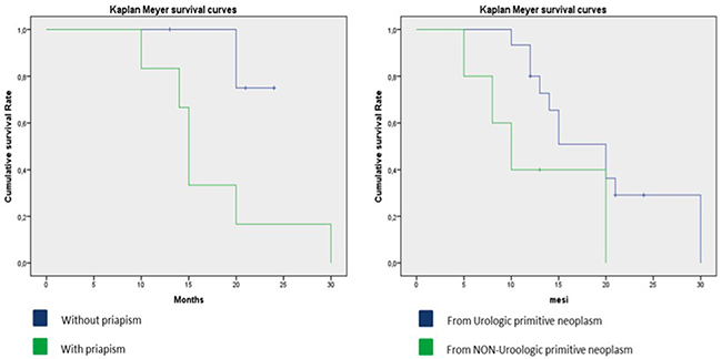 Kaplan-Meier curve, details of patients with metastases from urological and non-urological tumors and presence of malignant priapism.