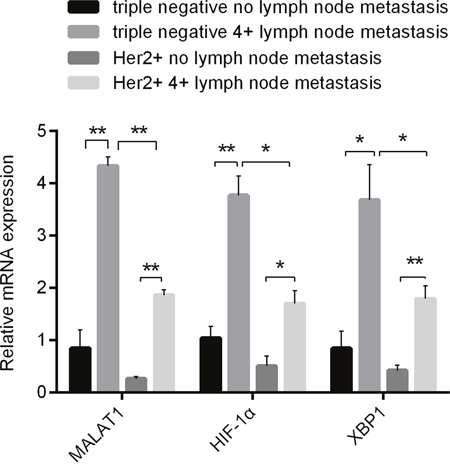 Differences in Expressions of MALAT1, HIF-1&#x03B1; and XBP1 in 2 Kinds of Breast Cancer without and with Metastatic Lymph Nodes (&#x2265;4) Detected by qRT-PCR.