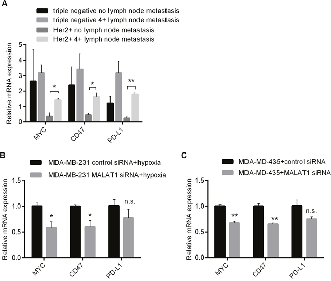 Involvement of MALAT1 in Regulating Expressions of Immune Checkpoint Genes in Above 2 Types of Breast Cancer Cells.