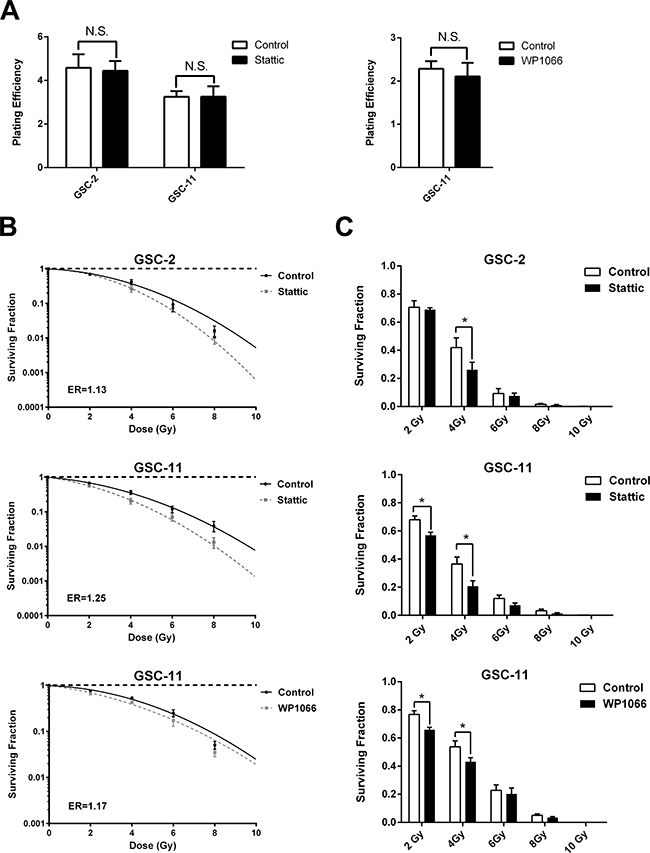 STAT3 inhibition radiosensitizes GSCs.