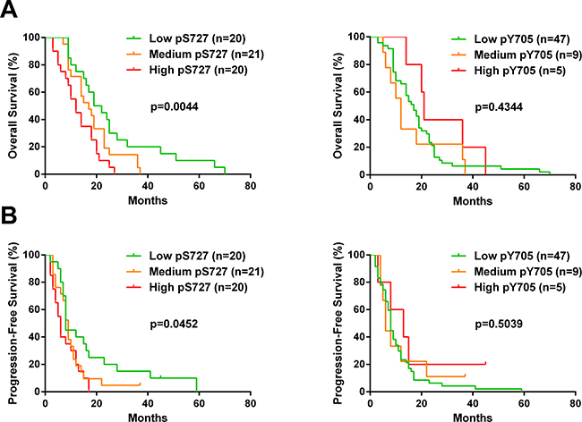 S727 phosphorylation but not Y705 affects the outcome of GBM patients.