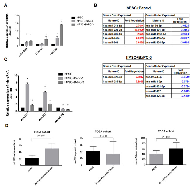 Altered expression of fibrosis-related genes and miRNAs in co-culture experiments.