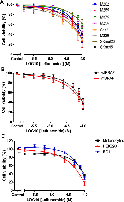 Leflunomide reduces the cell viability of melanoma cell lines.