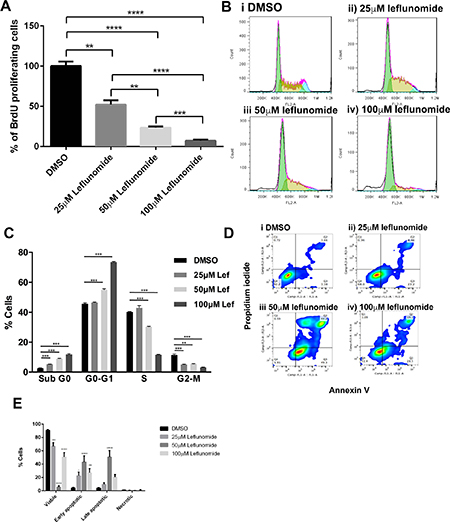 Leflunomide causes a G1 cell cycle arrest in A375 melanoma cells and induces apoptosis.