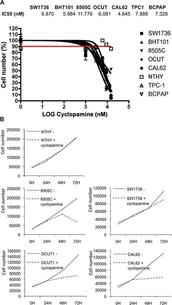 Thyroid cancer cells growth is sensitive to cyclopamine.