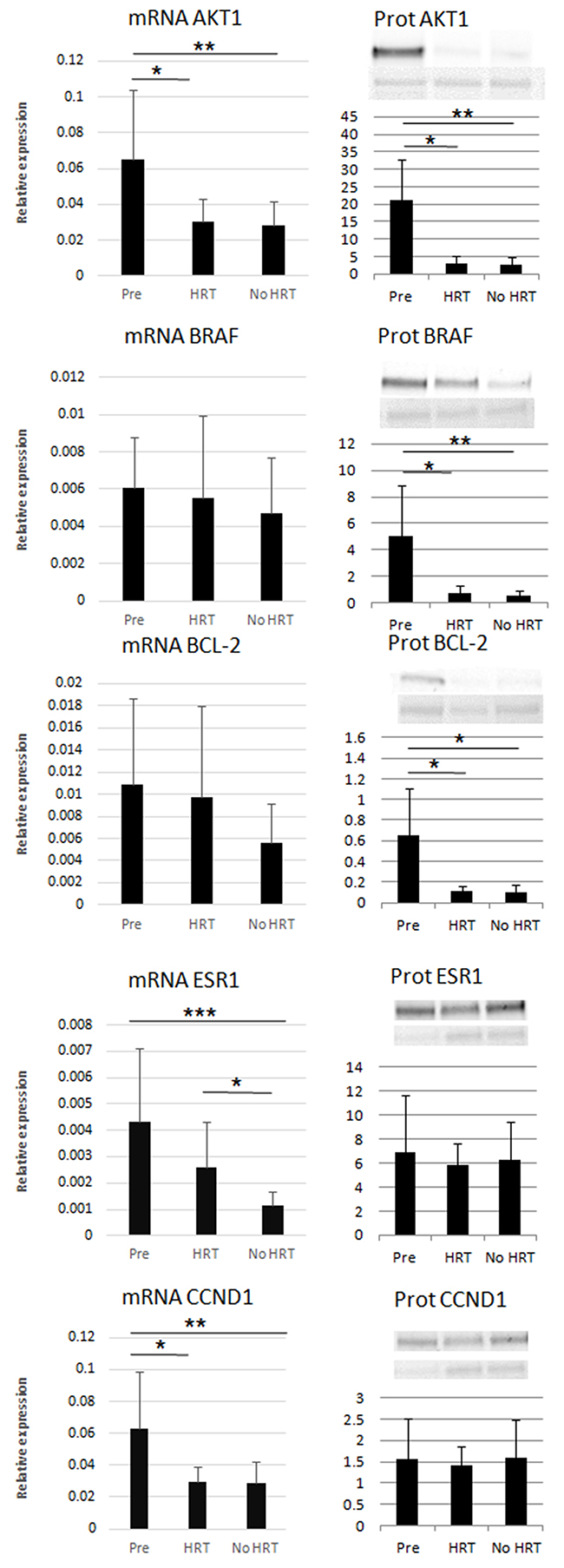 Relative mRNA expression and protein levels of the miR targets.