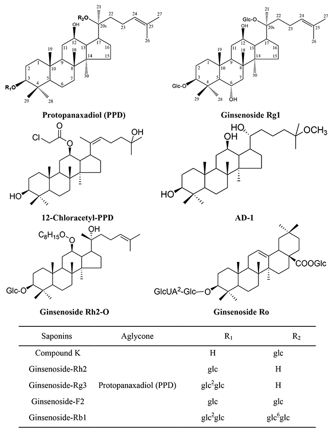 Chemical Structure of Ginsenosides Included in This Review.