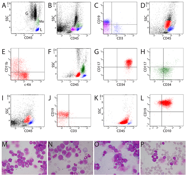Clustering of normal bone marrow, AML, and B-lymphoblastic leukemia samples by CD45/SS gating.