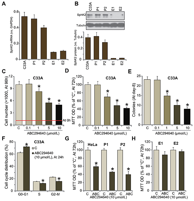 ABC294640 inhibits human cervical carcinoma cell growth.