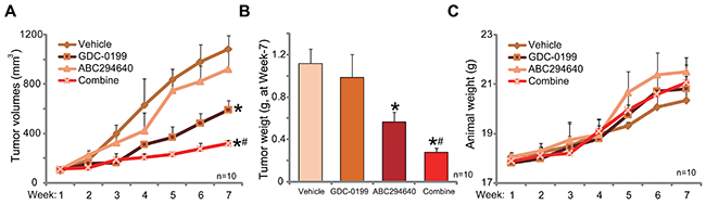 ABC294640 inhibits C33A tumor growth in nude mice, sensitized by co-administration of GDC-0199.