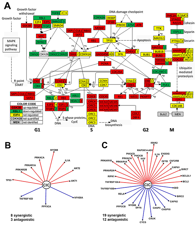 Figure 3: