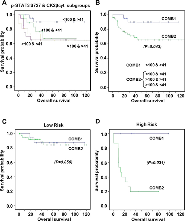 Kaplan-Meier estimates of 120-months overall survival according to combinations of p-STAT3