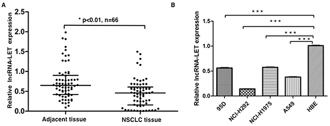 lncRNA-LET expression is downregulated in NSCLC tissues and cell lines.