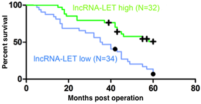 Low lncRNA-LET expression predicts poor prognosis of NSCLC patients.
