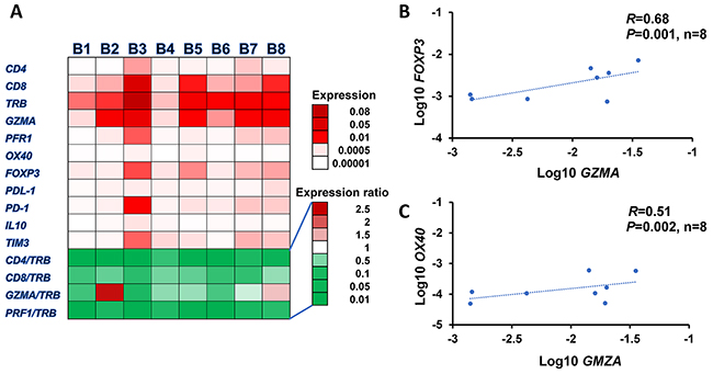 Expression profiles of immune-related genes in tumor microenvironment.