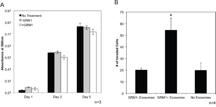 GRM1+ exosomes induce invasion in GRM1- cells.
