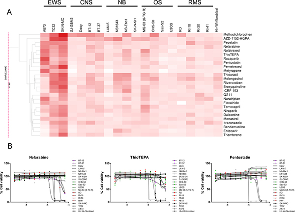 Compounds with specific activity against EWS cancer cell lines.