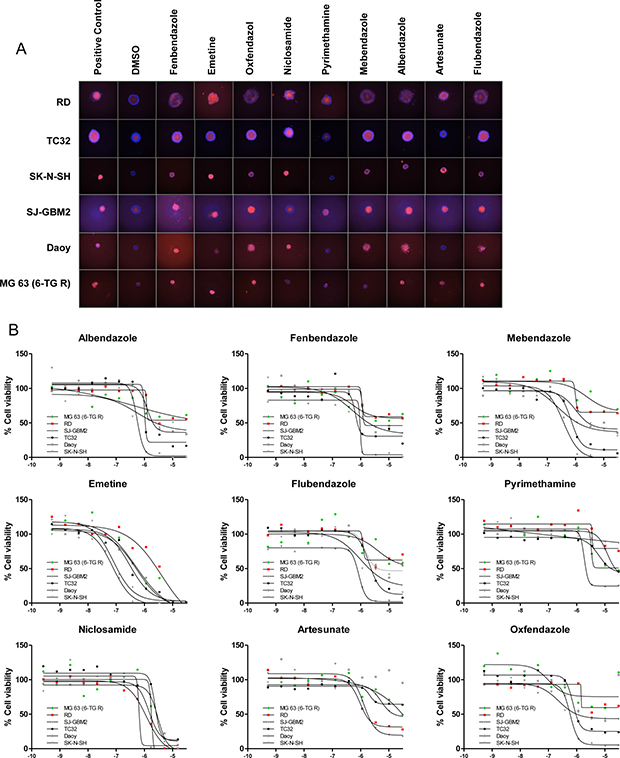 Antiparasitic/protozoal agents are active in 3D cultures.