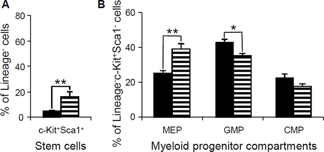 Flow cytometric analysis of the stem cells and myeloid progenitor compartments in bone marrow of wild-type controls and Dp(16)1 mice.