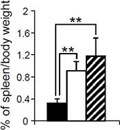 Relative weights of the spleens from mice with different genotypes.