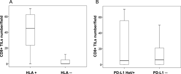 Immune infiltration and HLA-I and PD-L1 expression in cryopreserved tumor samples.
