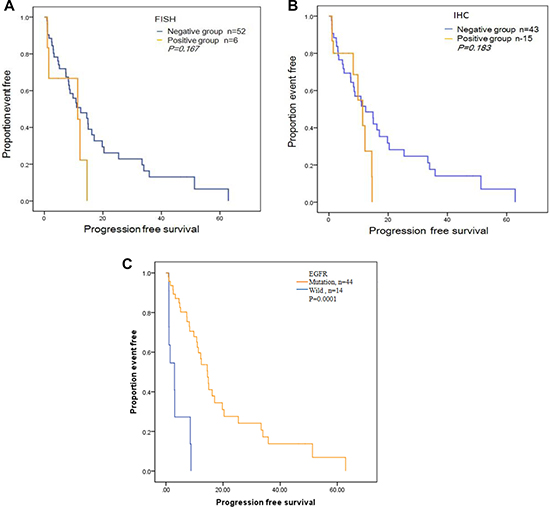 Progression-free survival (PFS) curves for the 58 patients treated with Gefitinib or Elorinib.